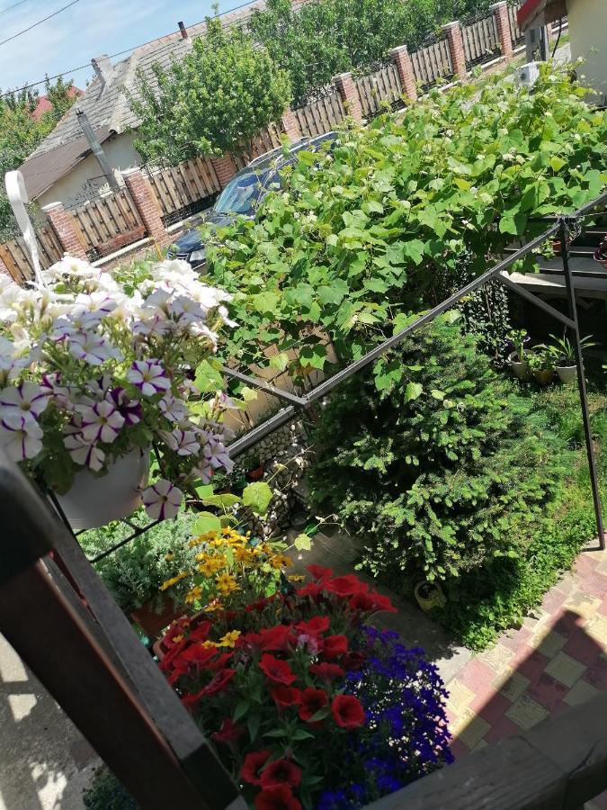 מלון Două Mai Casa Ozzy&Patty מראה חיצוני תמונה