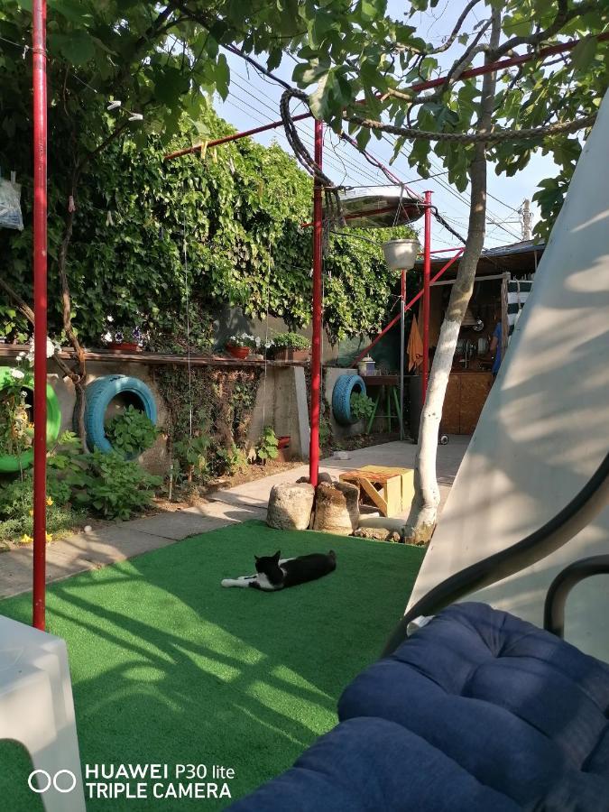 מלון Două Mai Casa Ozzy&Patty מראה חיצוני תמונה